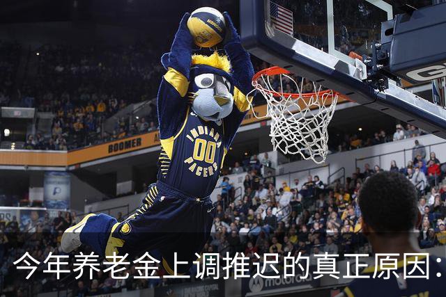 今年养老金上调推迟的真正原因：看看全国统筹养老金有多复杂！