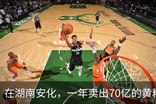在湖南安化，一年卖出70亿的黄精，到底哪些人在买